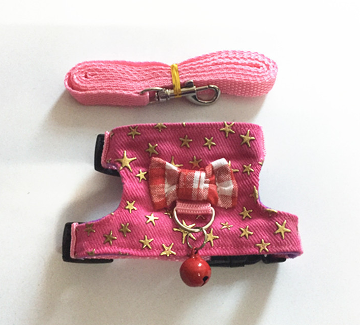 Small Animal Harness/Leash Set