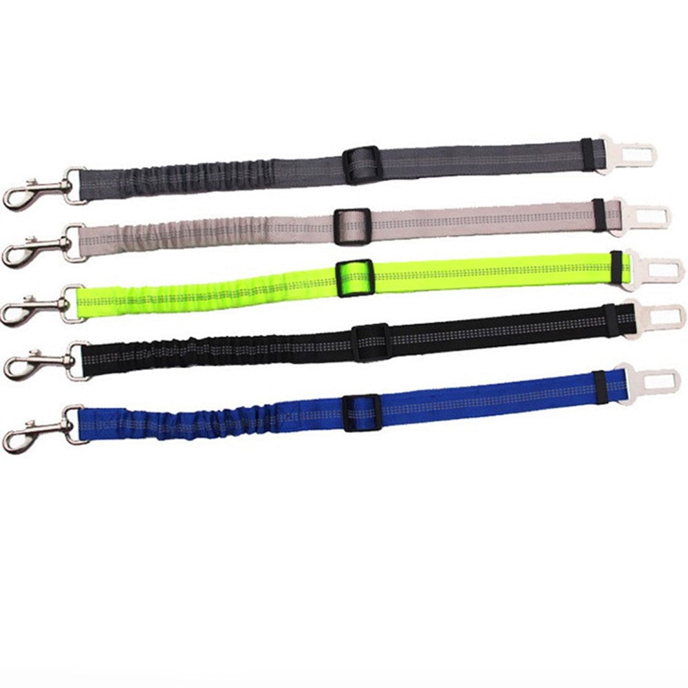 Car seatbelt tether