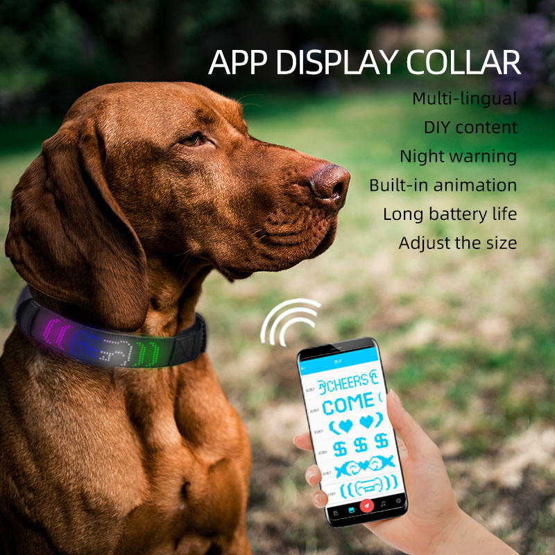 LED Editable Text Collar