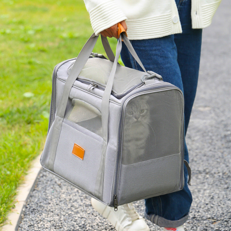 Cat/small dog carrier