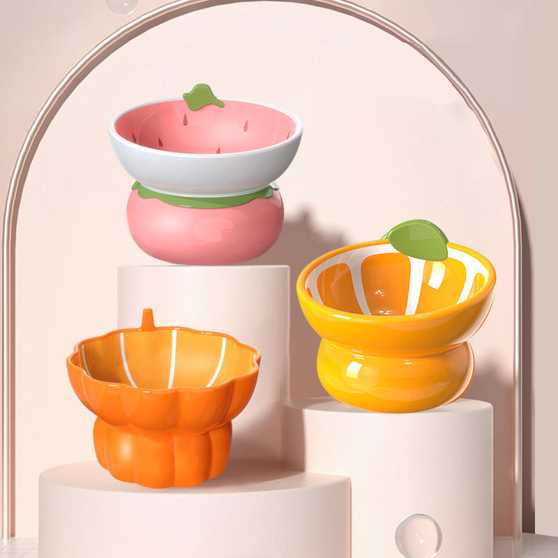 Ceramic Raised Food/Water Bowl