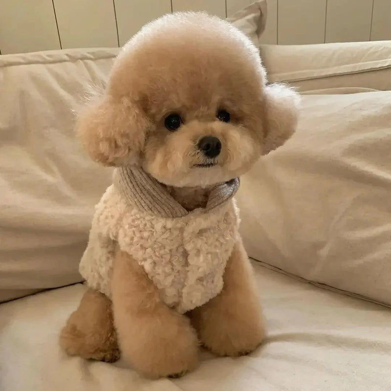 Warm Hoodie