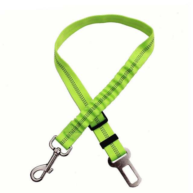 Car seatbelt tether