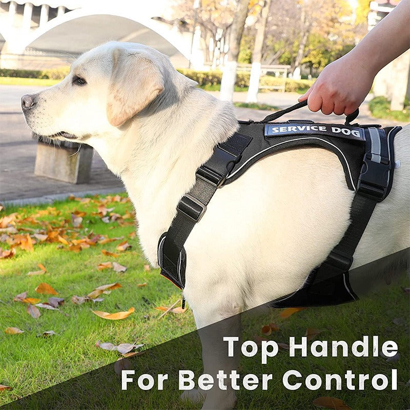 Harness with Velcro Patches