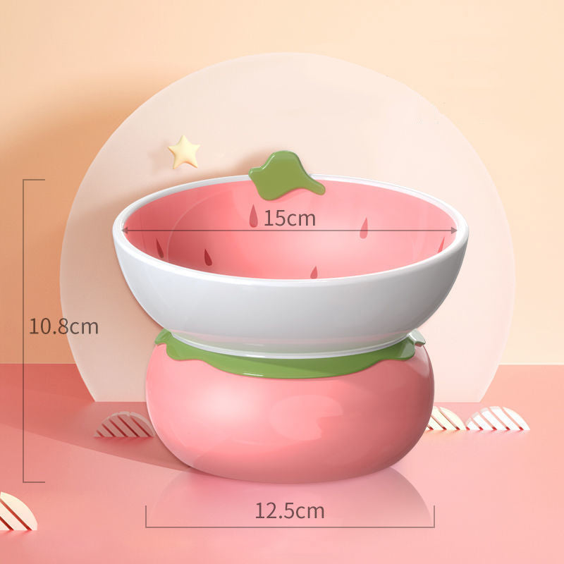 Ceramic Raised Food/Water Bowl