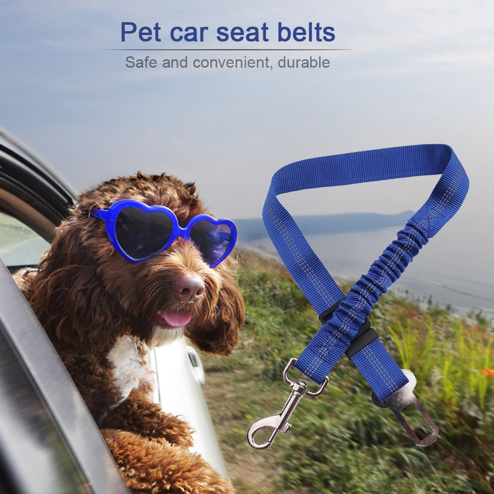 Car seatbelt tether