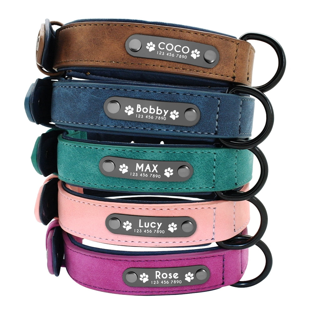 Personalized Leather Collar/Leash