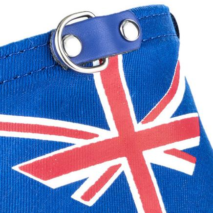 Bandana Flag Collar