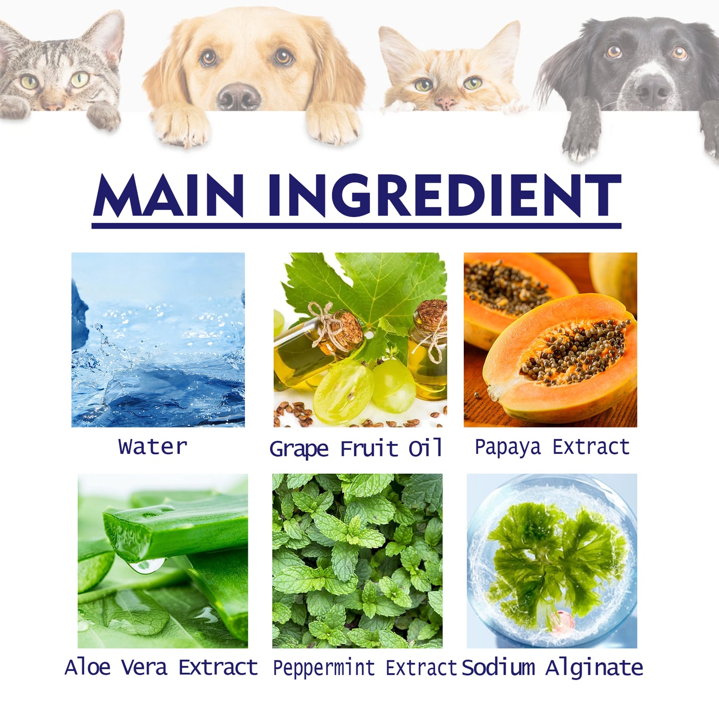 Pet Toothpaste