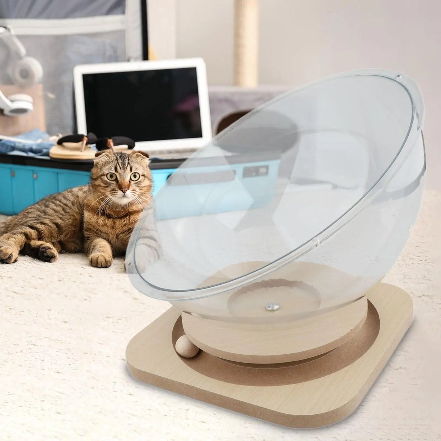 Acrylic Cat Bowl Bed