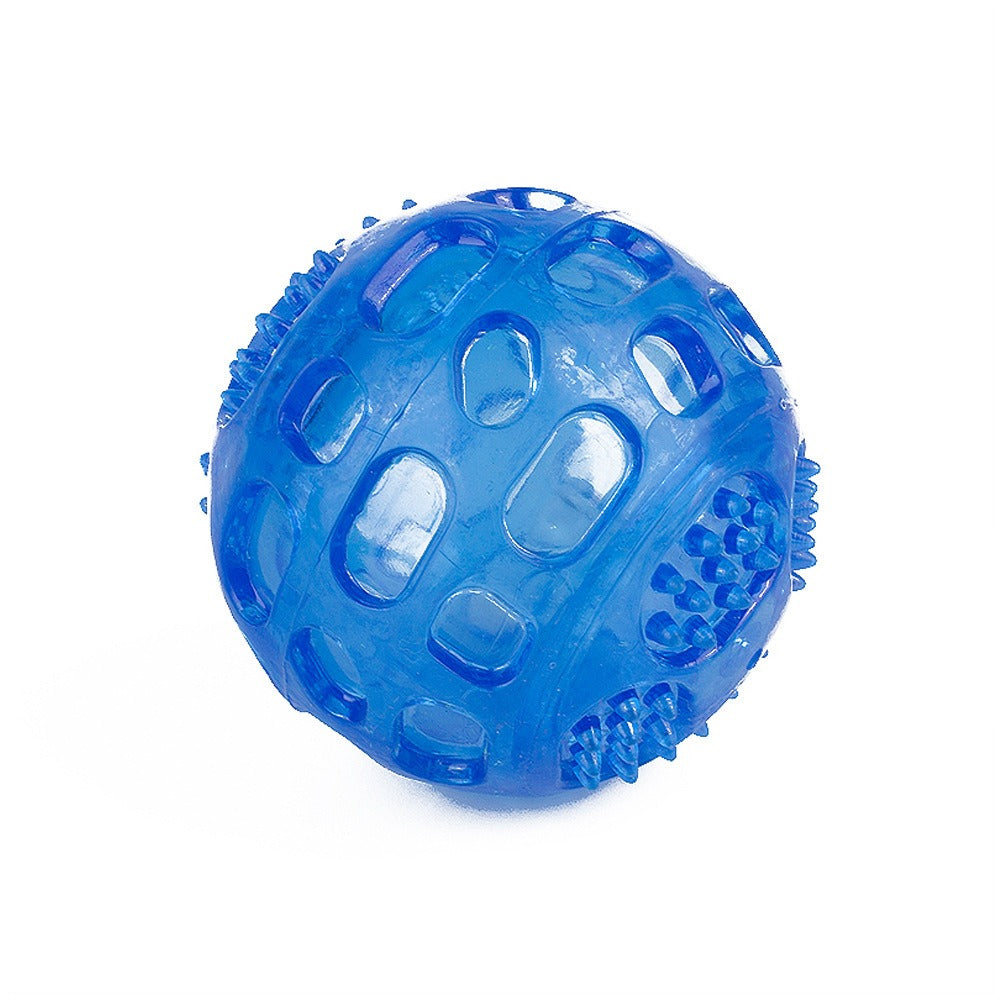 Squeaky Ball Toy