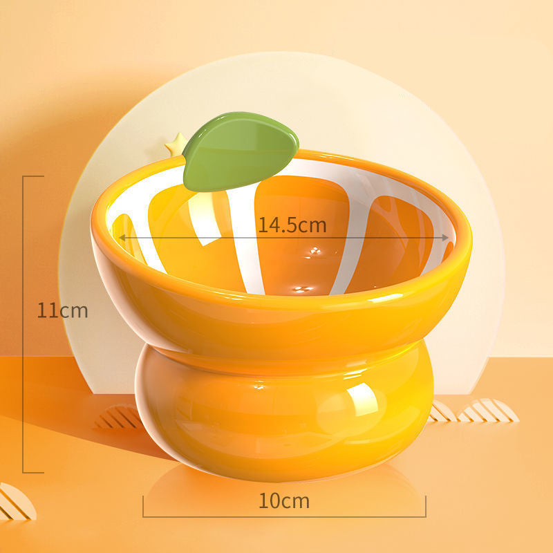 Ceramic Raised Food/Water Bowl