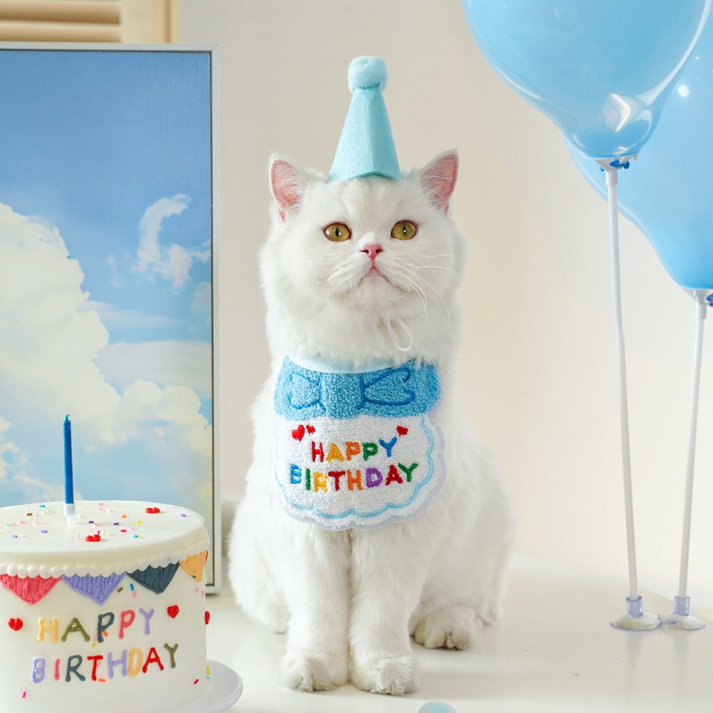 Pet birthday Suit