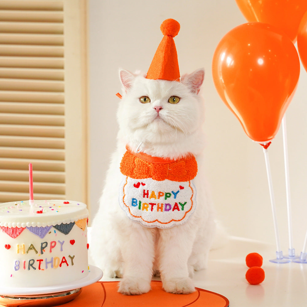 Pet birthday Suit