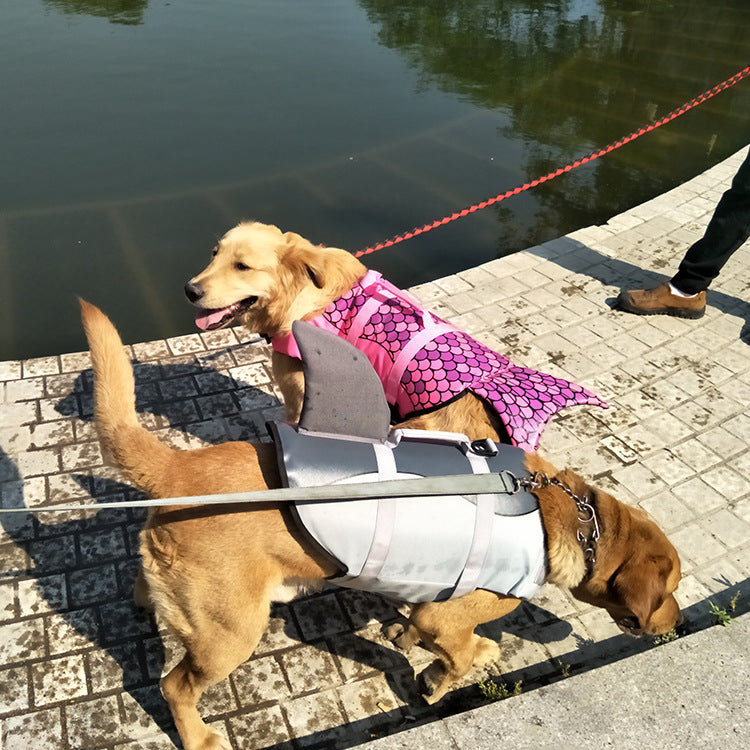 Life Jacket