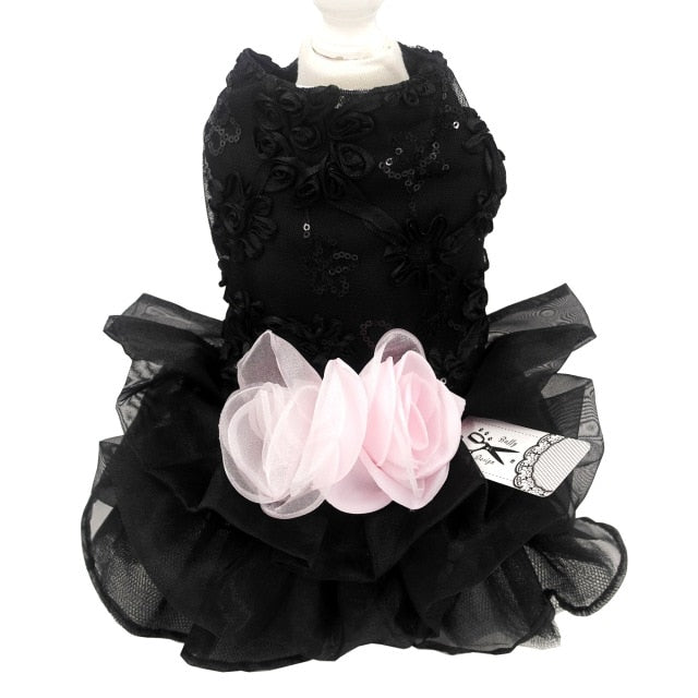 Fancy Dress