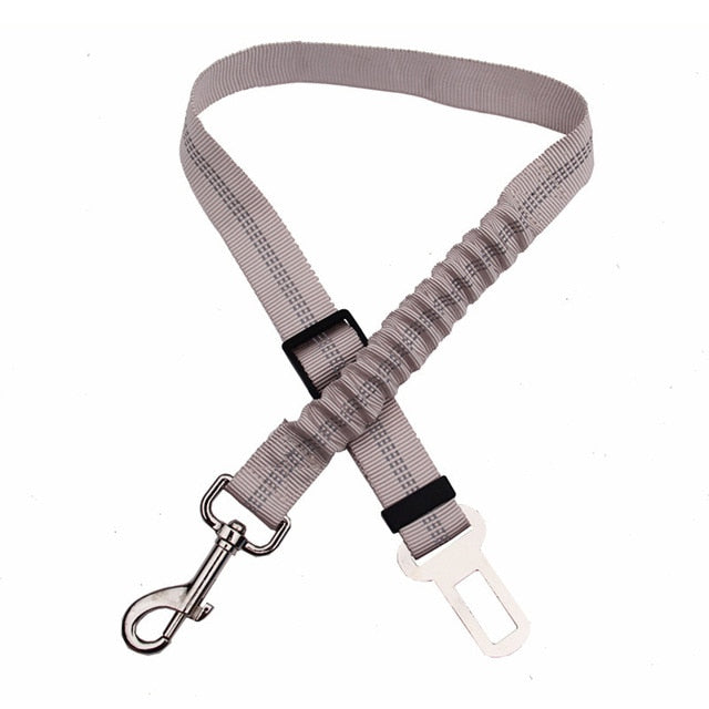 Car seatbelt tether
