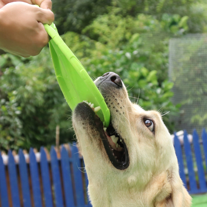 Dog Frisbee