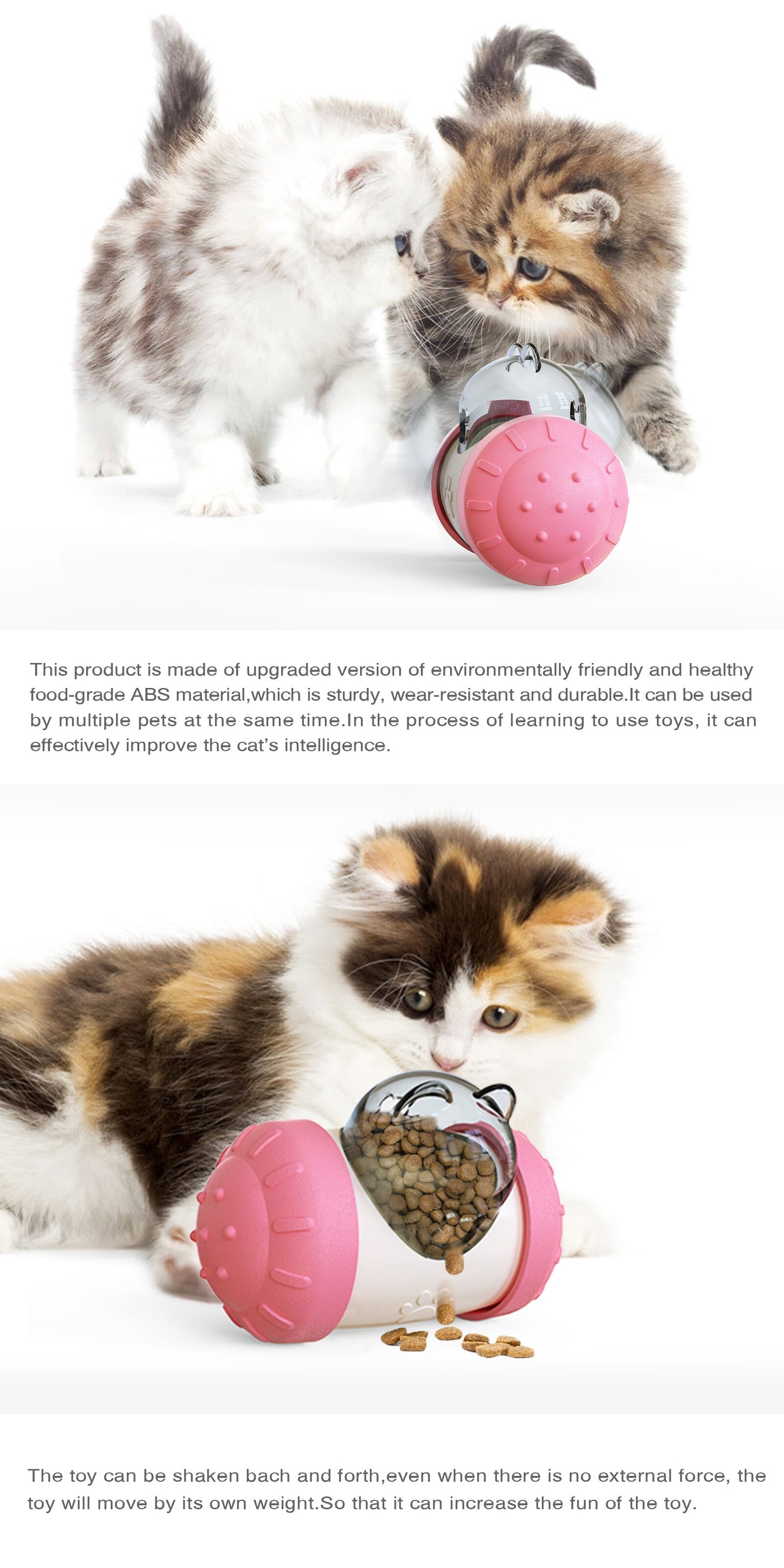 Interactive Treat Dispenser