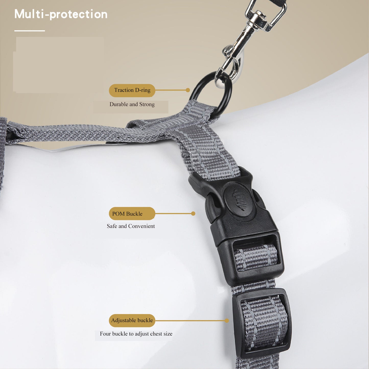 Y Front Harness