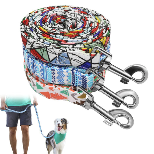 Thick Nylon 5ft Leash