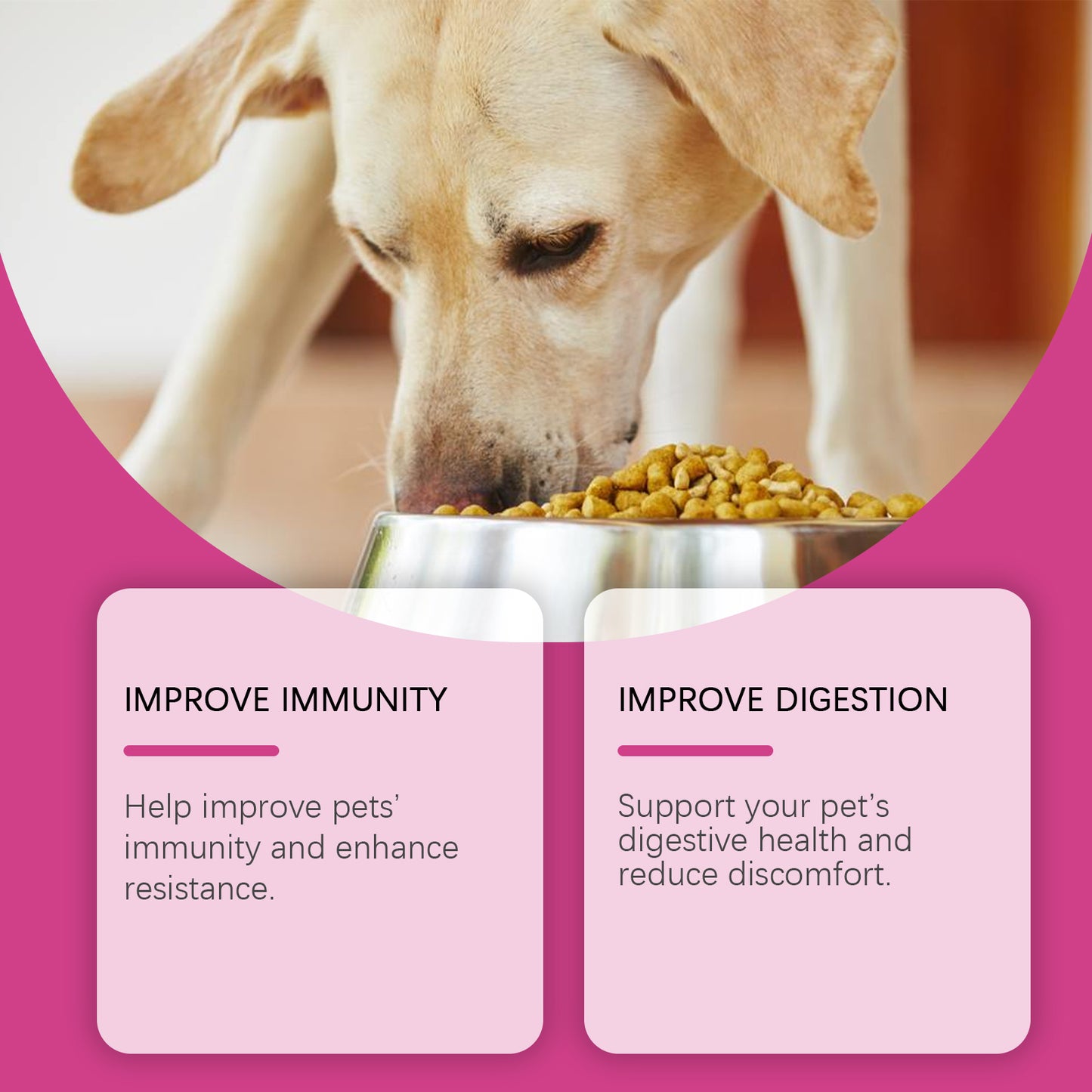 Dog Probiotic Tablets 80ct