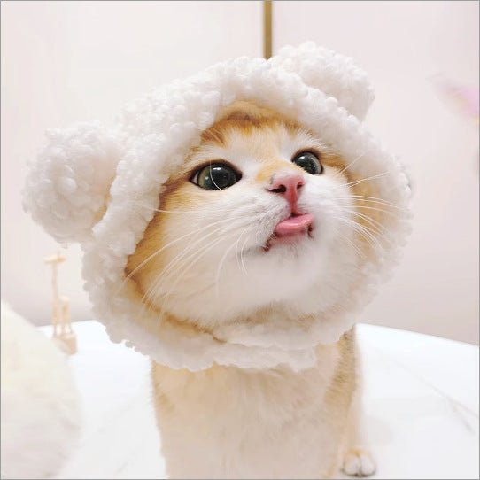 Cute Pet Hats