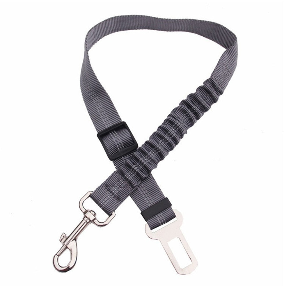 Car seatbelt tether