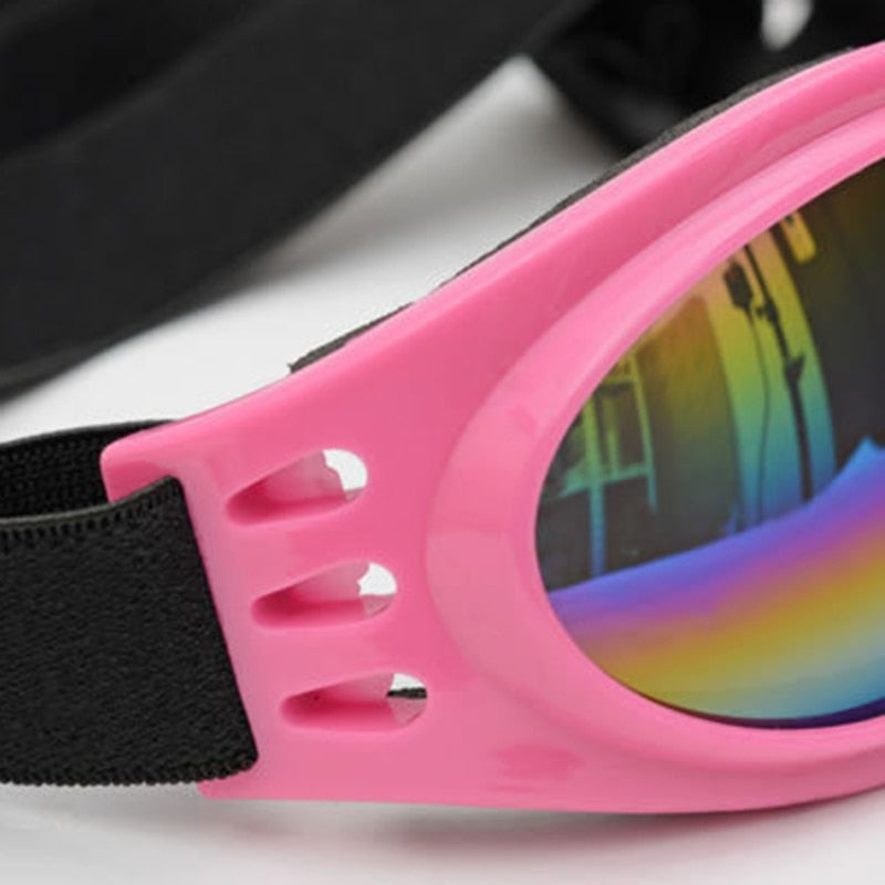 Pet Goggles