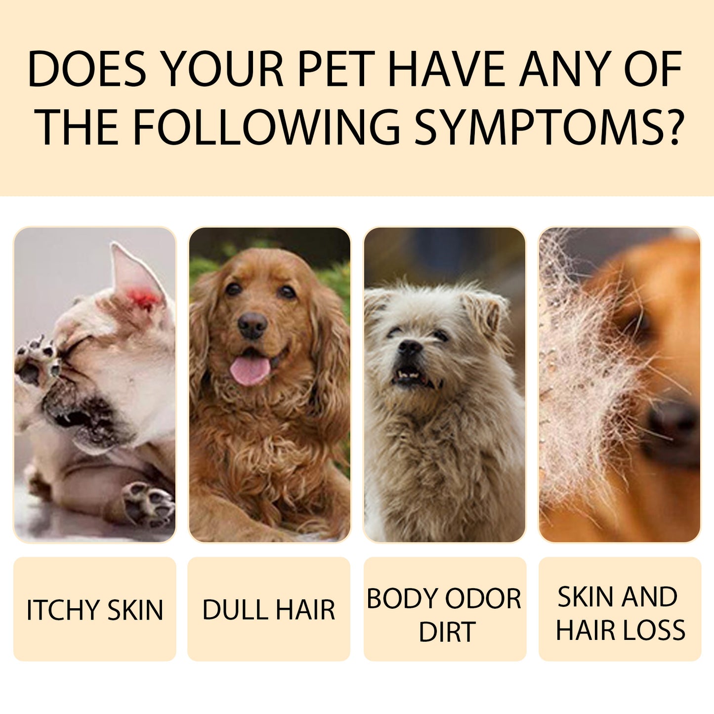 3.38fl oz Moisturizing Pet Shampoo