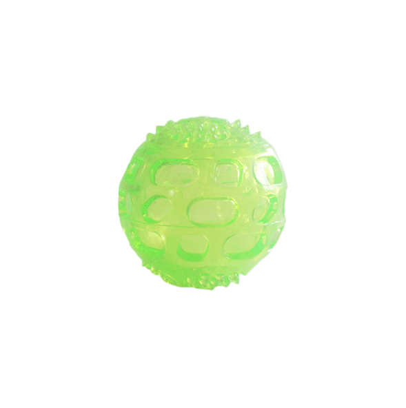 Squeaky Ball Toy