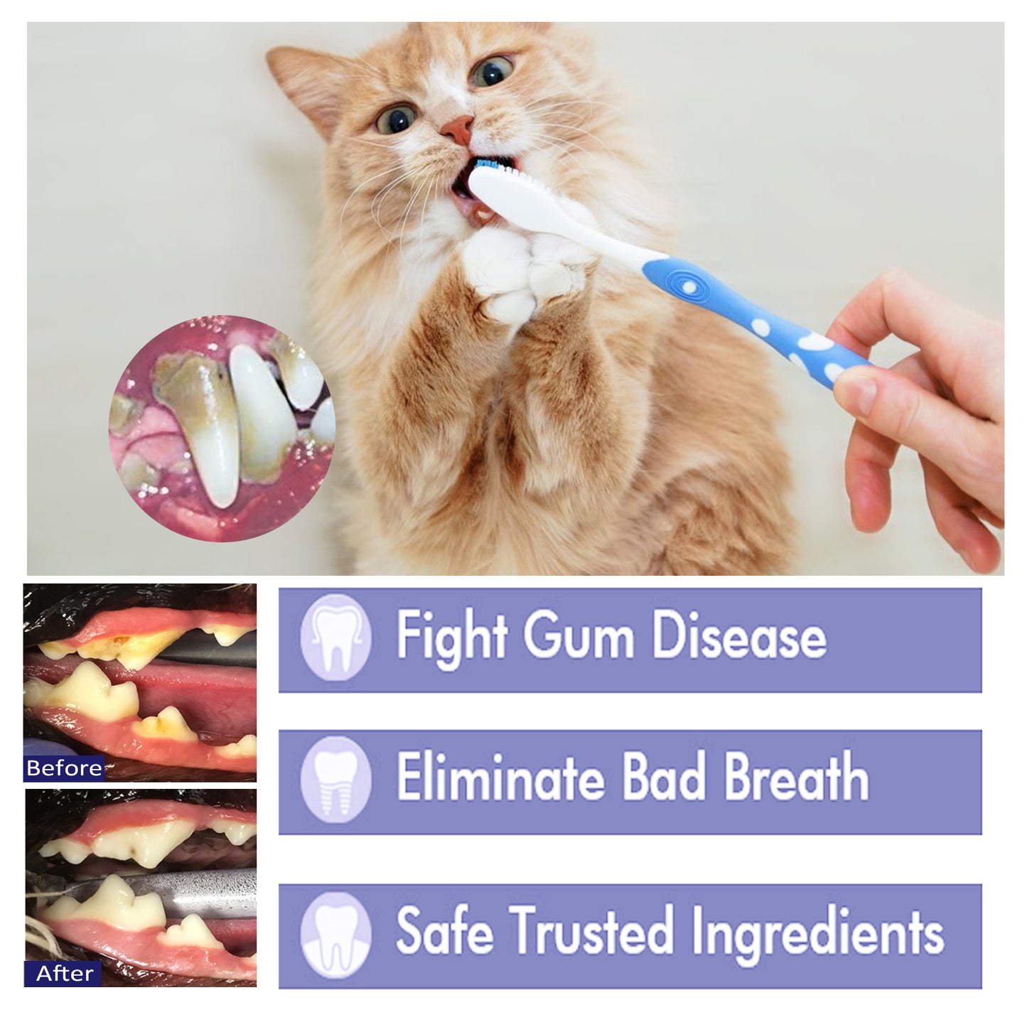 Pet Toothpaste