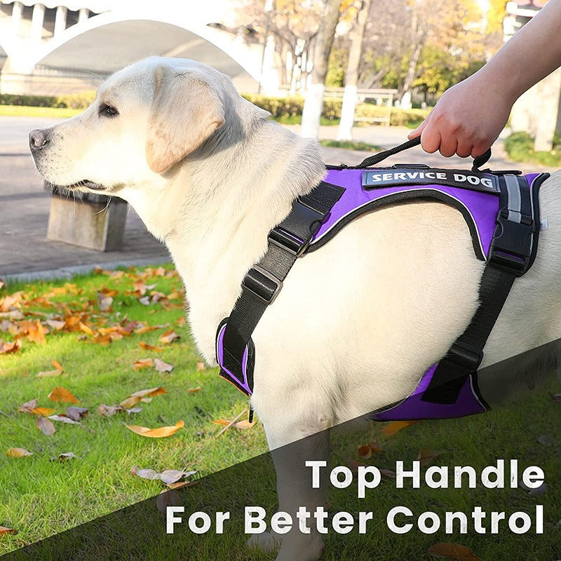Harness with Velcro Patches