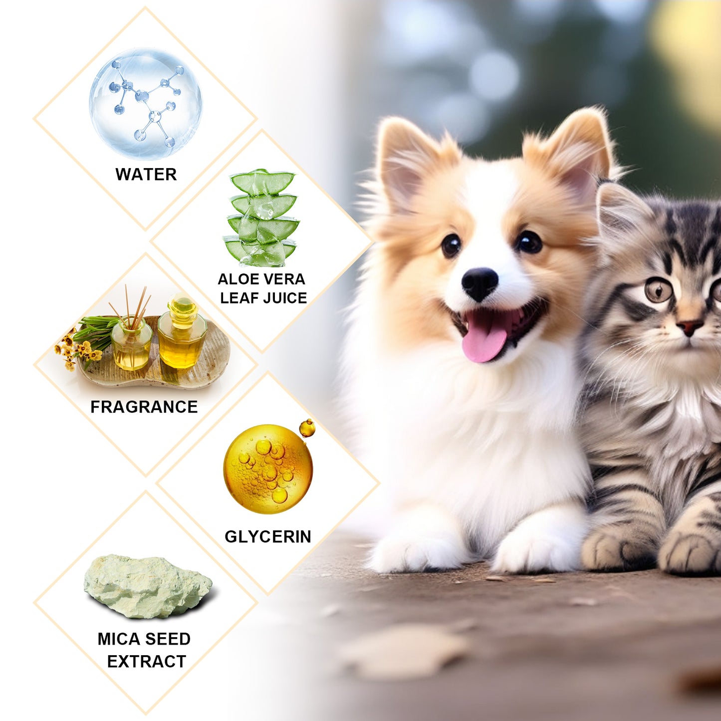 3.38fl oz Moisturizing Pet Shampoo