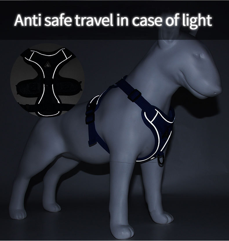 Reflective Y Front Harness/Leash Set