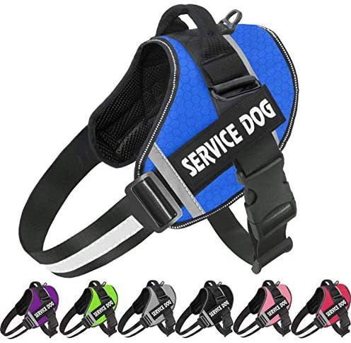 Velcro Patch Harness