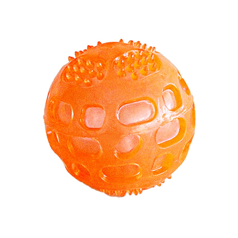 Squeaky Ball Toy
