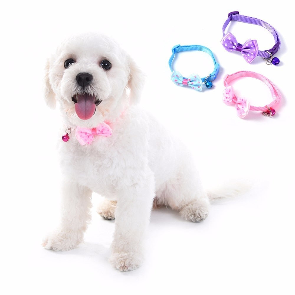 2pcs Puppy/Cat Collar