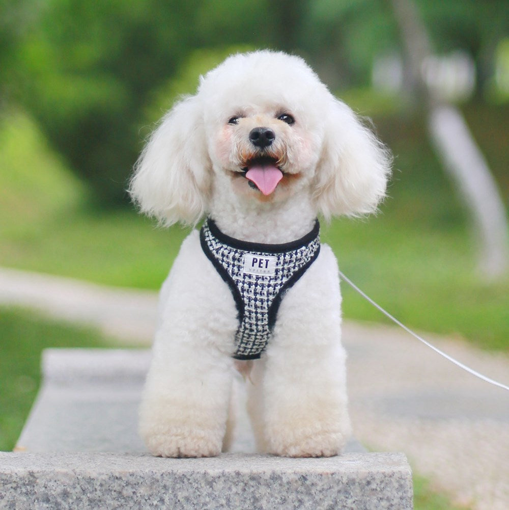 Harness