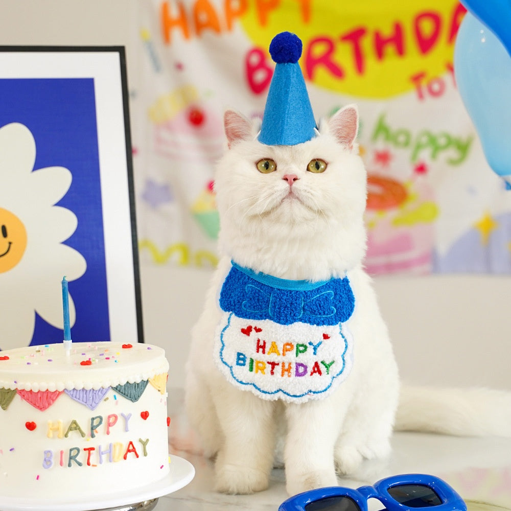 Pet birthday Suit