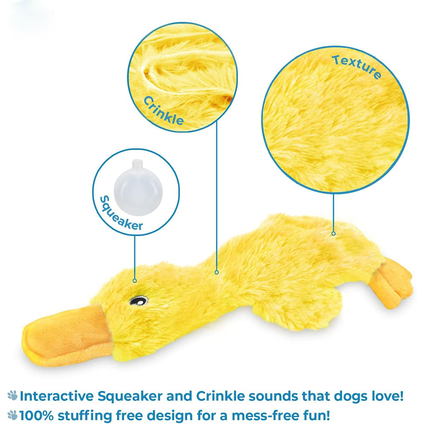 Plush Squeaker Toy