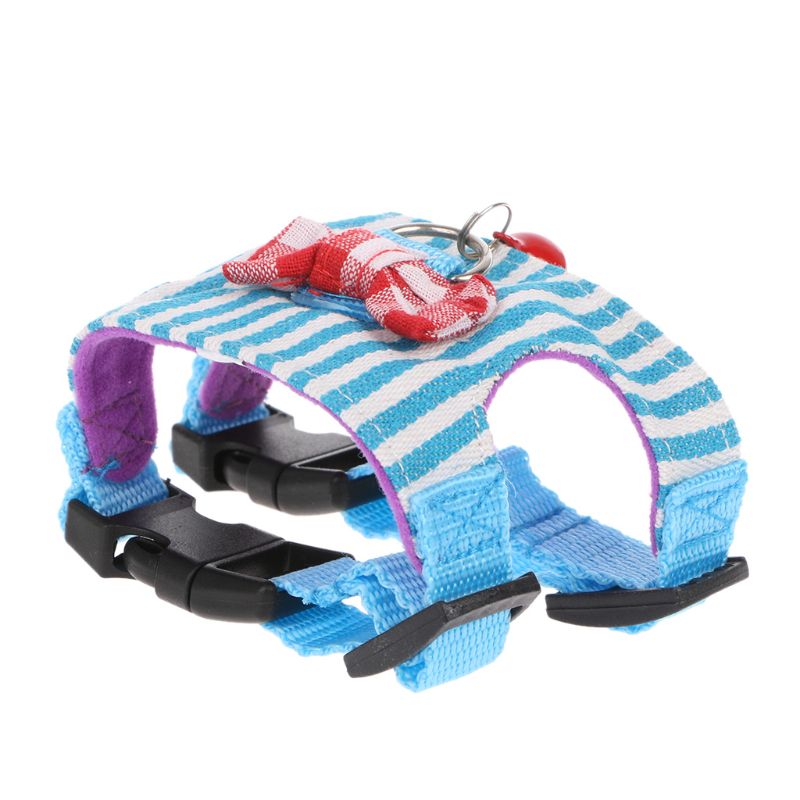 Small Animal Harness/Leash Set