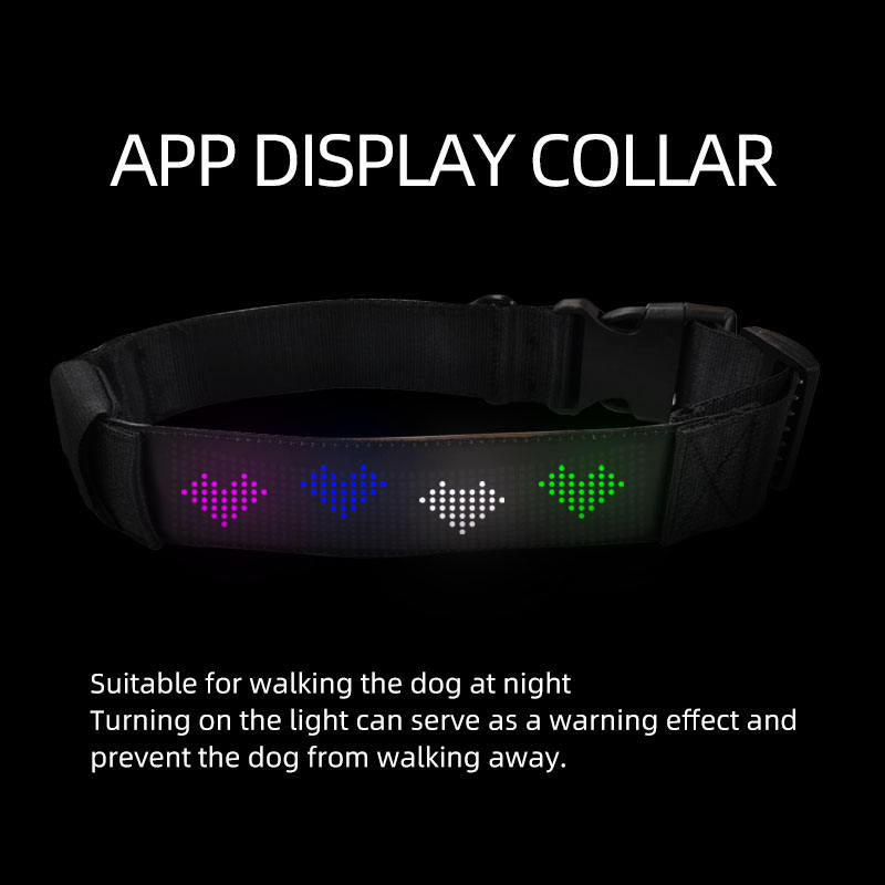 LED Editable Text Collar