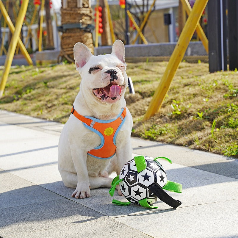 Dog soccer ball with grab tabs
