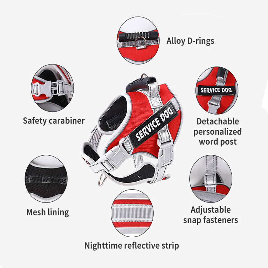 Velcro Patch Harness with and without Leash