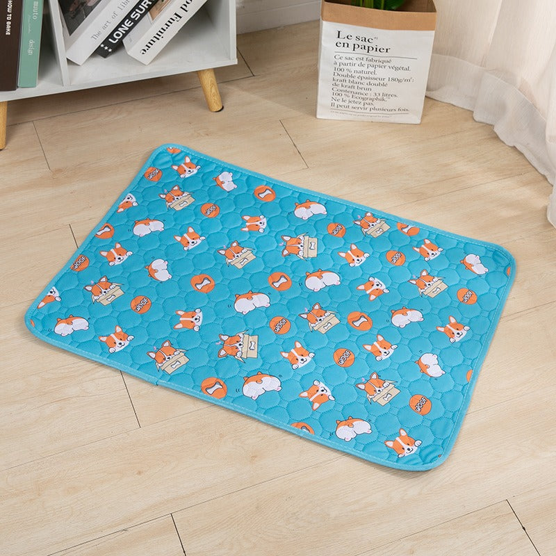 Washable Water Absorbing Pad