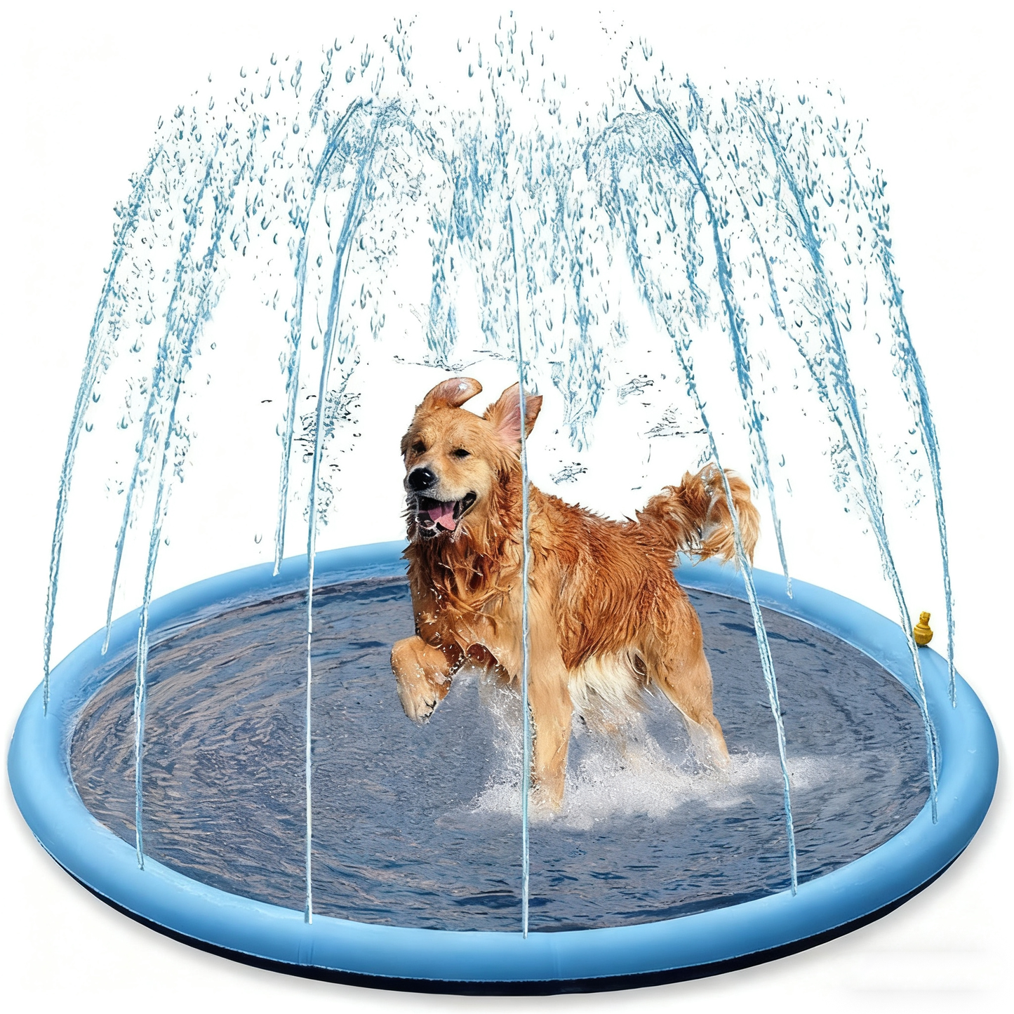 PVC Pet water spray mat