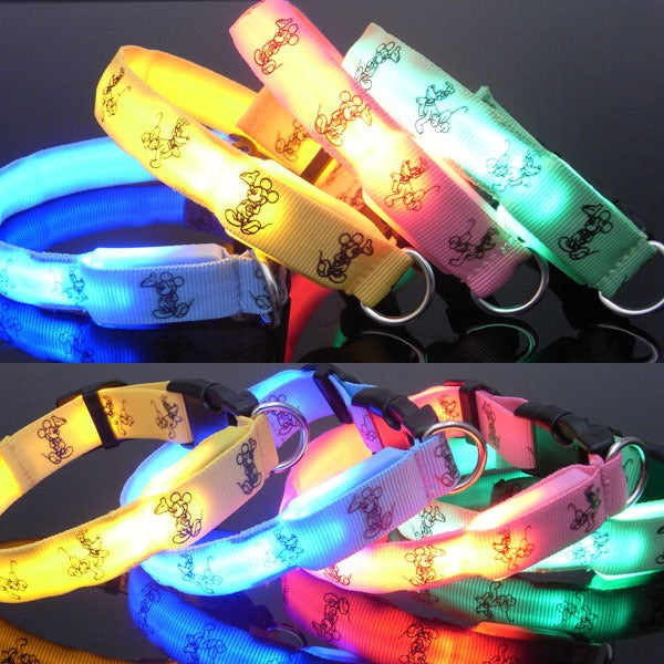 LED Collar