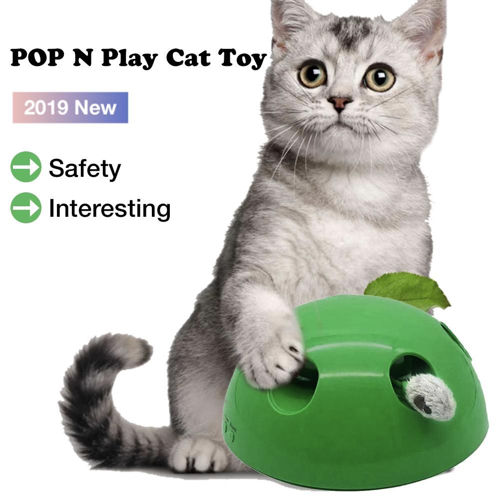 Peek a Boo Cat Toy