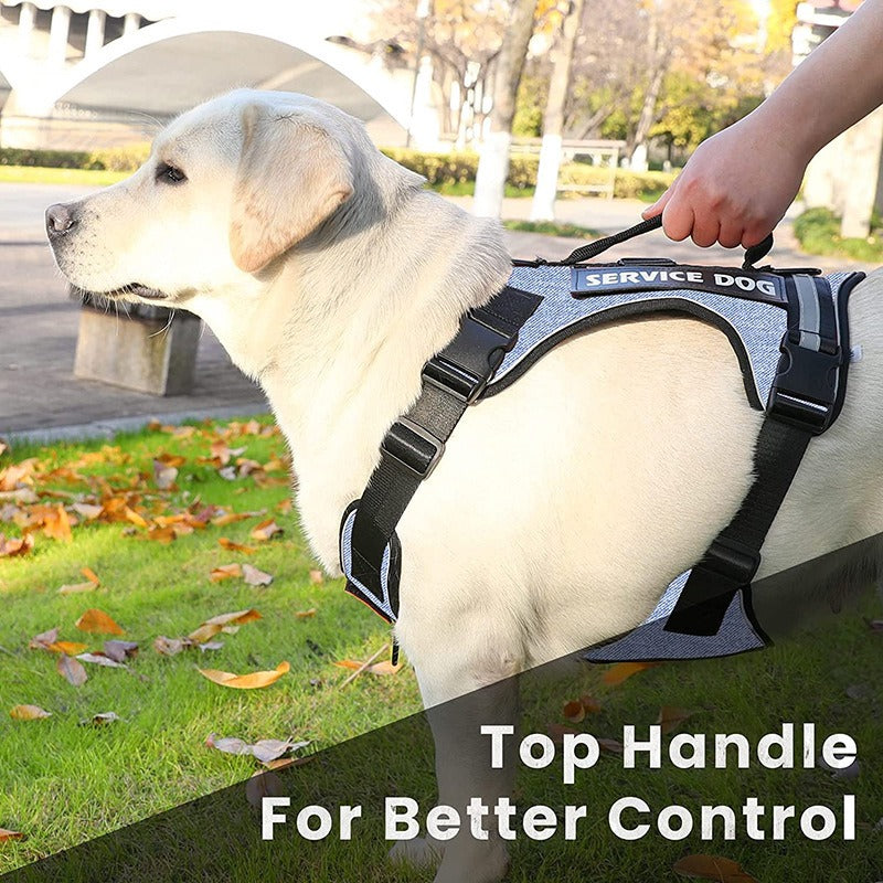 Harness with Velcro Patches